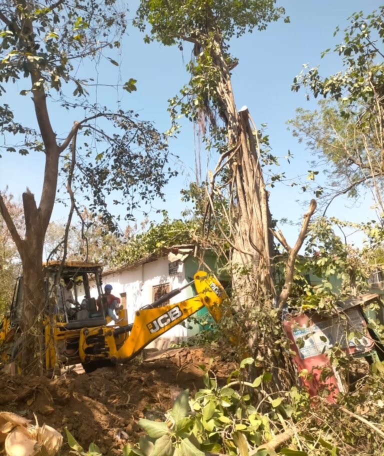 पीढ़ियों से लगा बरगद का पेड़ कर रहे शिफ्ट मामला अधिकारियों के संज्ञान में नहीं, व्यवस्थाएं फेल करने का हवाला