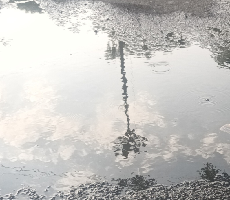 कई दिनों से बह रहा है व्यर्थ पानी, सड़क पर हुआ बड़ा गड्ढा, दे रहा है हादसे को आमंत्रण