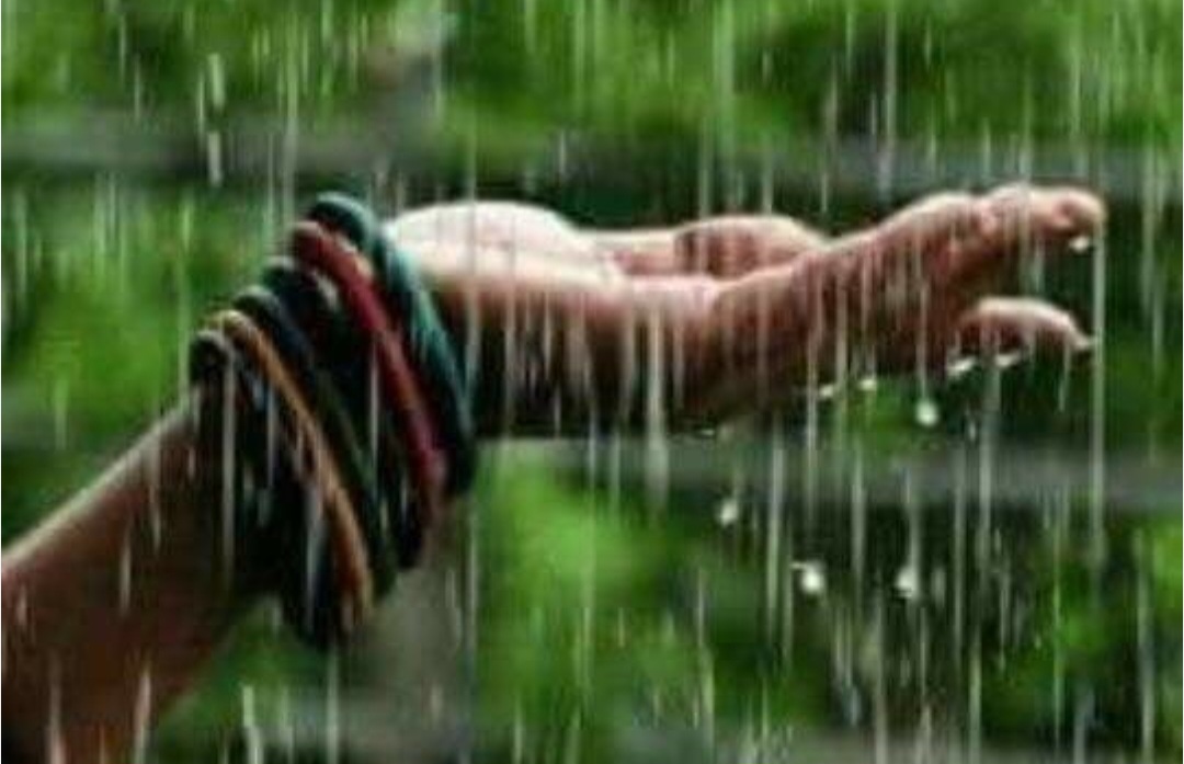 जिले में 1 जून से आज दिनांक तक 9.0 मिलीमीटर औसत वर्षा दर्ज, गत वर्ष इसी अवधि में हुई थी 0.3 मिलीमीटर औसत वर्षा