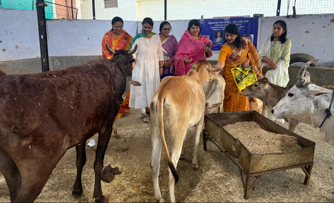 इनर व्हील क्लब डिस्ट्रिक्ट 304 ने बांके बिहारी गौशाला में दुर्घटनाग्रस्त गायों की उपचार हेतु और उनके चारा हेतु धनराशि प्रदान की
