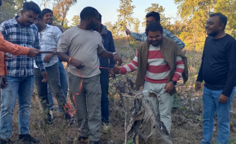 81 सागौन वृक्षों की अवैध कटाई का मामला ठंडे बस्ते में, दो साल बाद भी नहीं हुई ठोस कार्रवाई, शिकायतकर्ता ने न्यायालय जाने की दी चेतावनी