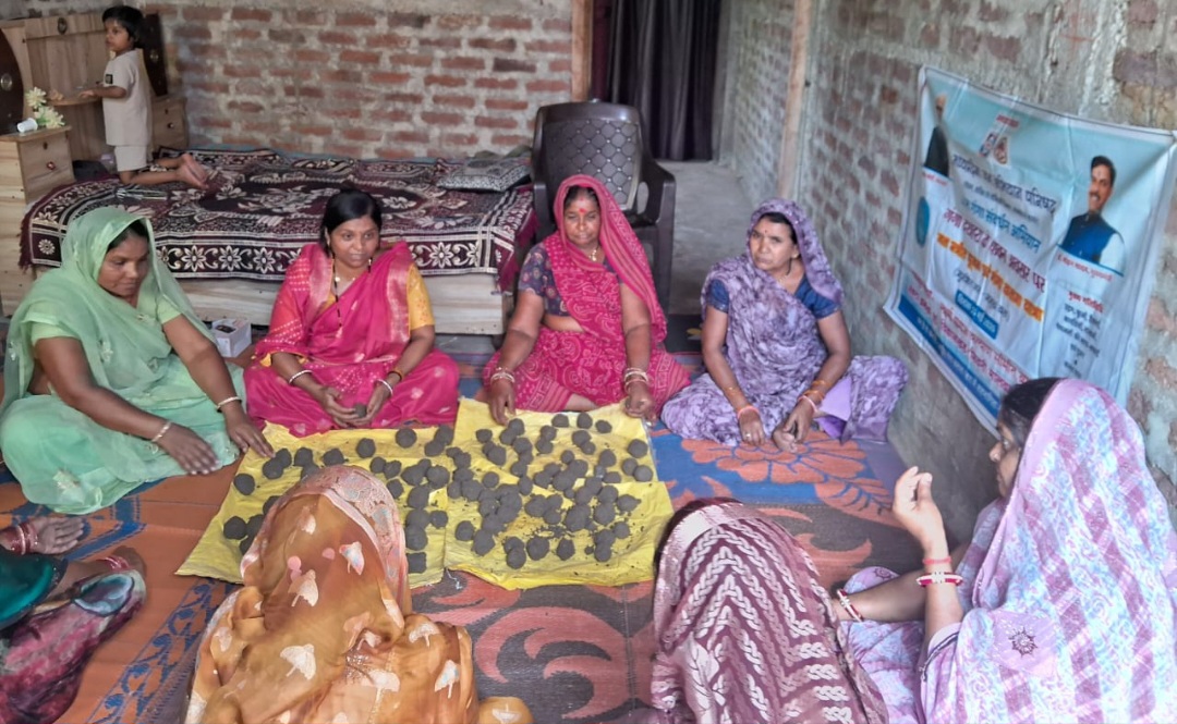 नवरंग महिला मंडल नवांकुर संस्था सेक्टर क्रमांक 05 के अंतर्गत सीड बॉल का निर्माण किया