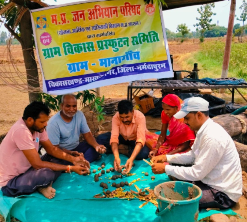 ग्राम विकास प्रस्फुटन समिति मानागांव द्वारा सीड बाल तैयार की