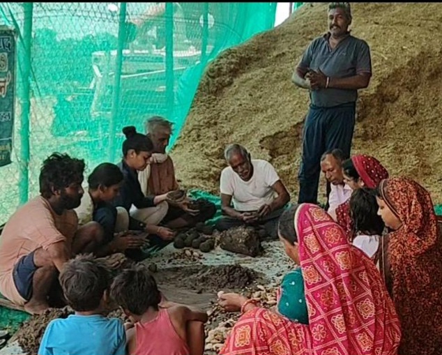 गाजनपुर में पर्यावरण संरक्षण की अनूठी पहल, 782 सीड बॉल तैयार कर हरियाली बढ़ाने का संकल्प