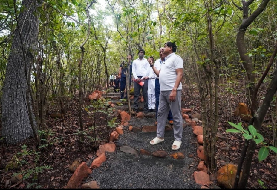 प्राकृतिक सौंदर्य से भरपूर बैतूल का कुकरू: इस मानसून जरूर करें मध्य भारत के इस शानदार हिल स्टेशन की सैर, प्राकृतिक सौंदर्य, कॉफी बागानों और जनजातीय संस्कृति की अनूठी पहचान है बैतूल का कुकरू खामला