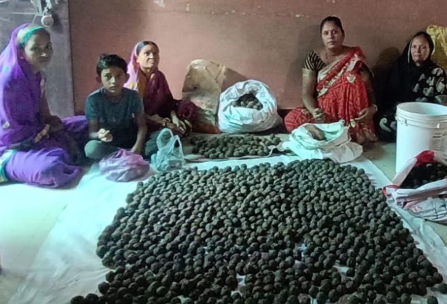 नपा के डेएनयूएलएम द्वारा संचालित स्वसहायता समूह ने बनाई 5 हजार सीड्स बाल