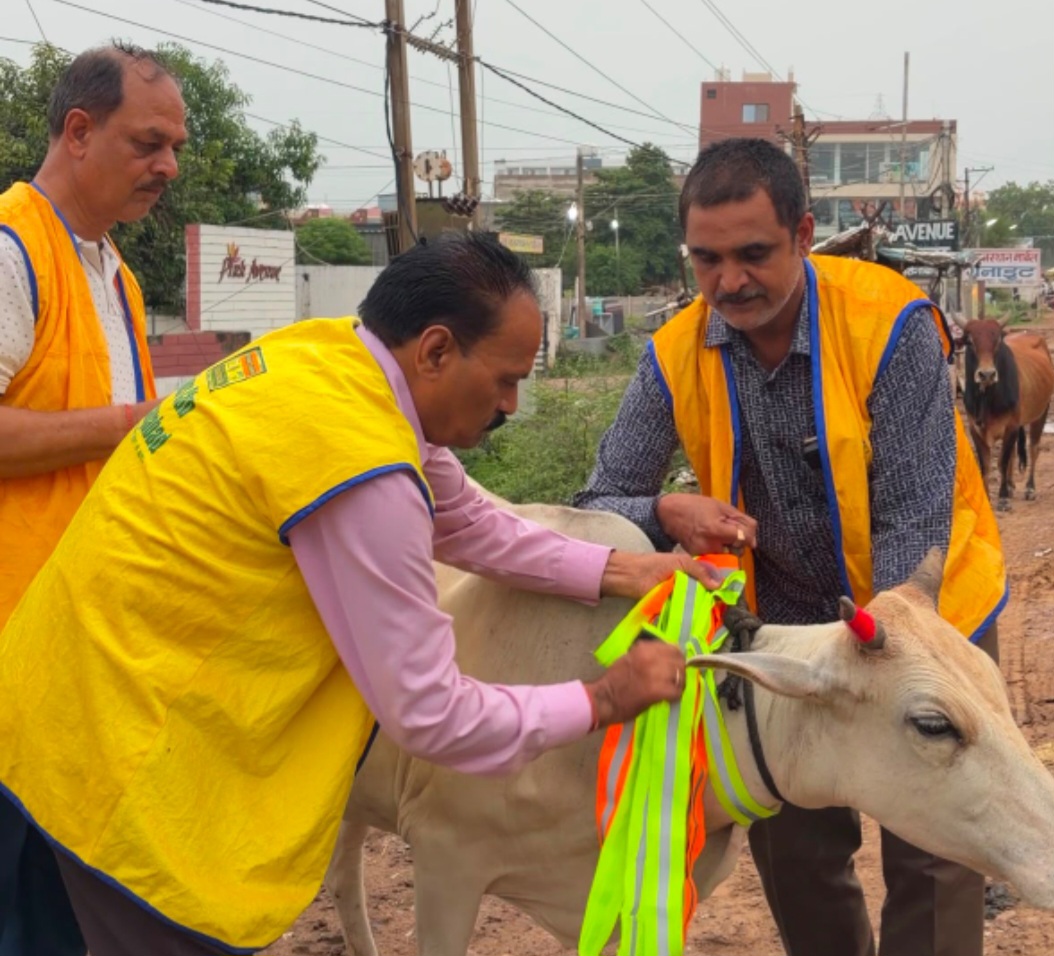 बरसात के मौसम में सड़क दुर्घटनाओं की रोकथाम हेतु मवेशियों पर लगाए गए रेडियम रिफ्लेक्टर