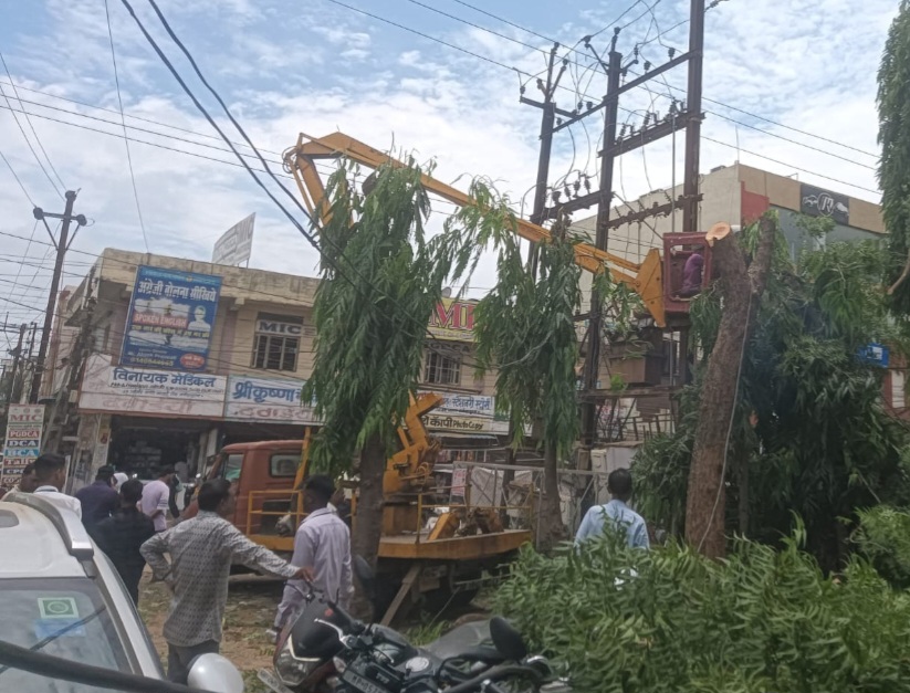 एक तरफ पौधारोपण का ढोंग, दूसरी तरफ 25 साल पुराने पेड़ों पर चली कुल्हाड़ी: नर्मदापुरम में शिकायत और पंचनामे के बावजूद काटे गए हरे-भरे वृक्ष