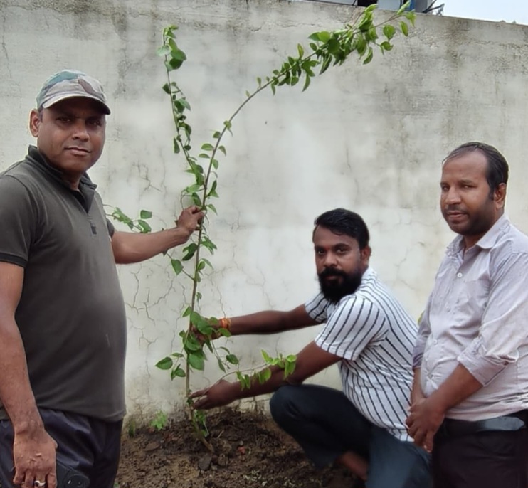ग्राम पंचायत सोना साबरी में सरपंच वृक्ष मित्र योजना के अंतर्गत ग्राम पंचायत में बादाम और अशोक के पौधे लगाए