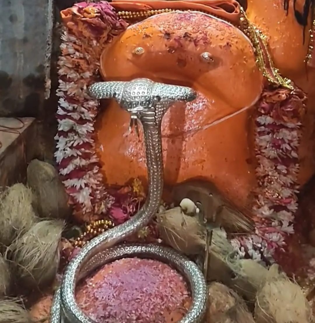 शिव भक्ति को समर्पित 10 दिवसीय नागद्वारी यात्रा प्रारंभ, 17 सेक्टर में बांटा गया मेला क्षेत्र, श्रद्धालुओं की सुविधा और सुरक्षा के लिए 24 घंटे प्रशासनिक अमला तैनात