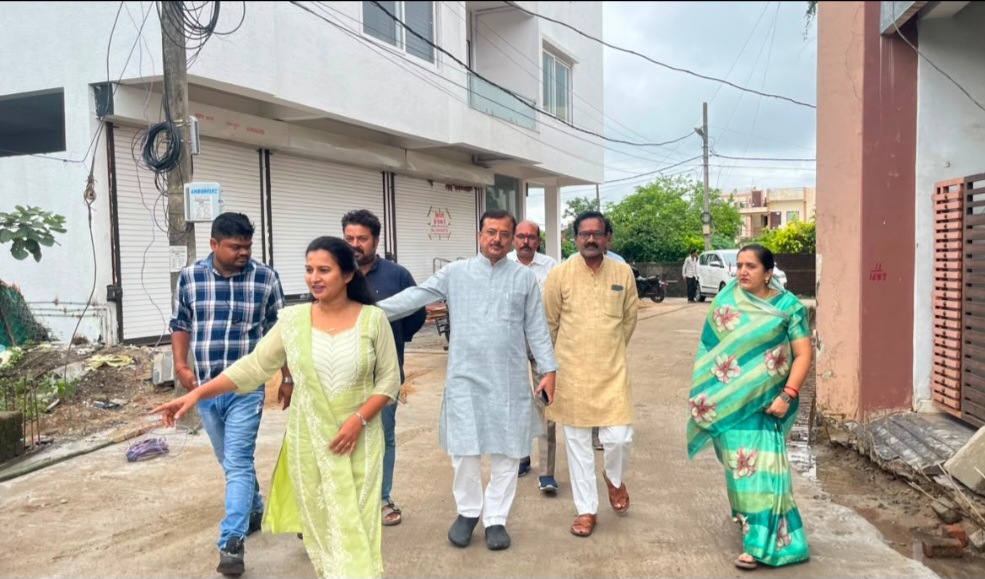 नपाध्यक्ष नीतू यादव ने किया सड़क, नाली निर्माण का निरीक्षण
