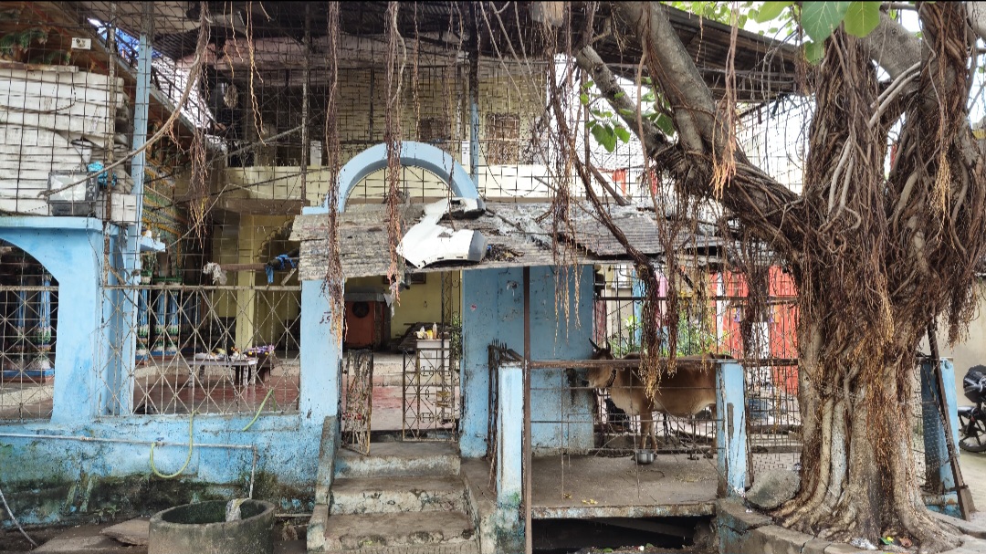 राधा कृष्ण मंदिर से पुजारी को हटाने का षड्यंत्र, बिजली का मीटर भी ट्रस्टी में अपने नाम कराया, परिजनों से की अभद्रता, जान से मारने की दी धमकी, मंदिर की जमीन को भी बेचा गया, जांच की मांग