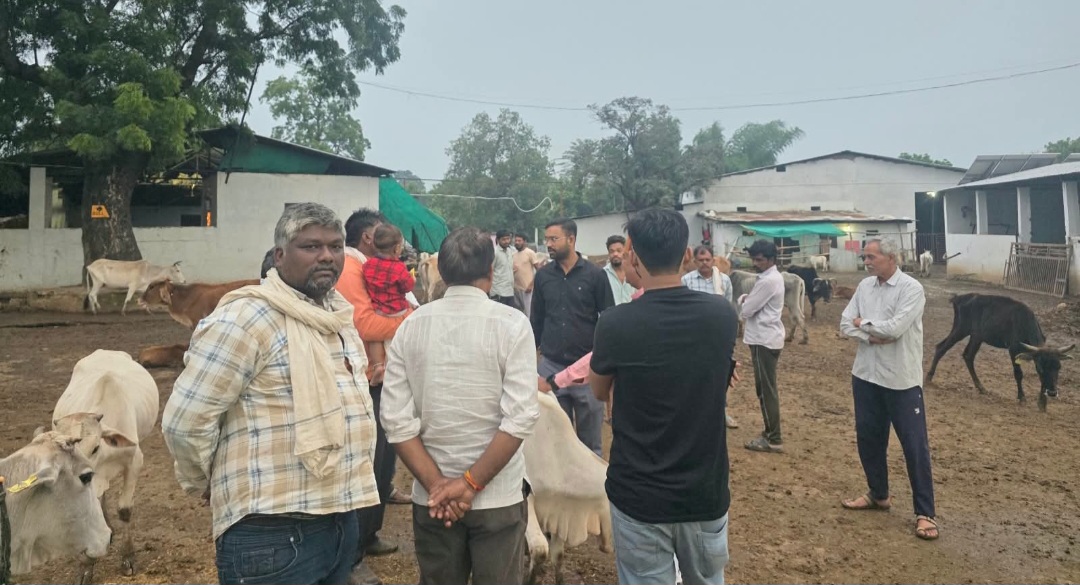 कलेक्टर के निर्देशन में गौशालाओं की सघन मॉनिटरिंग, एसडीएम ने किया बांदरखोह गौशाला का औचक निरीक्षण