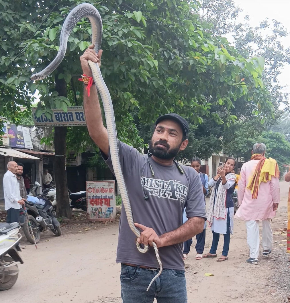 गर्ल्स कॉलेज की बाउंड्री के पास से 8 फीट लंबे सर्प का सुरक्षित रेस्क्यू किया
