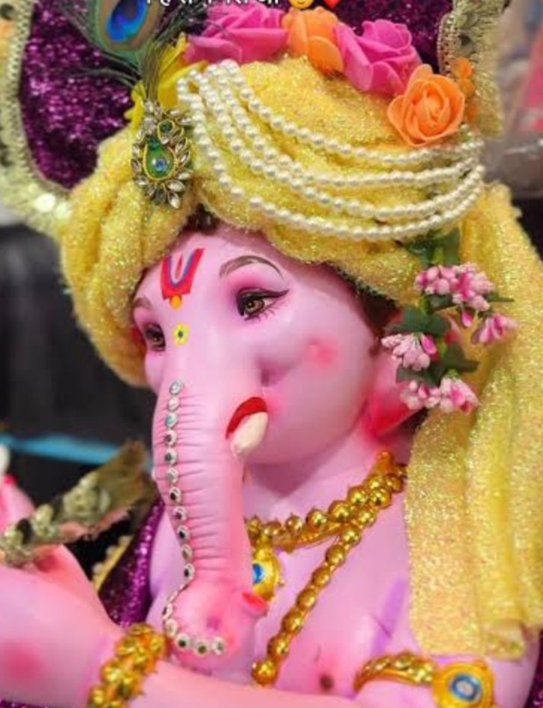 गोल्डन वेलफेयर सोसायटी में हुआ हवन एवं विशाल भंडारा, गूंजे ‘बप्पा मोरया’ के जयकारे