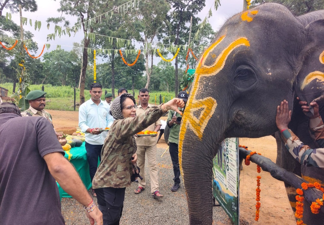 सतपुडा टाइगर रिजर्व में हाथी महोत्सव का शुभारंभ