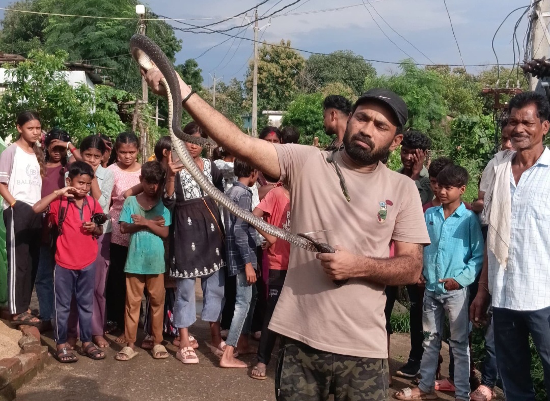 घर के अन्दर कमरे में रखे कूलर के नीचे छिपे हुए 6 फीट लंबे सर्प का सुरक्षित रेस्क्यू किया