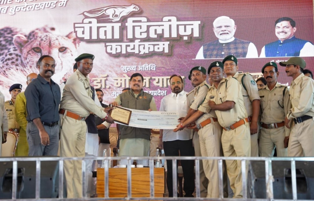 सतपुड़ा टाइगर रिजर्व के उत्कृष्ट वन अमले को मुख्यमंत्री ने किया सम्मानित