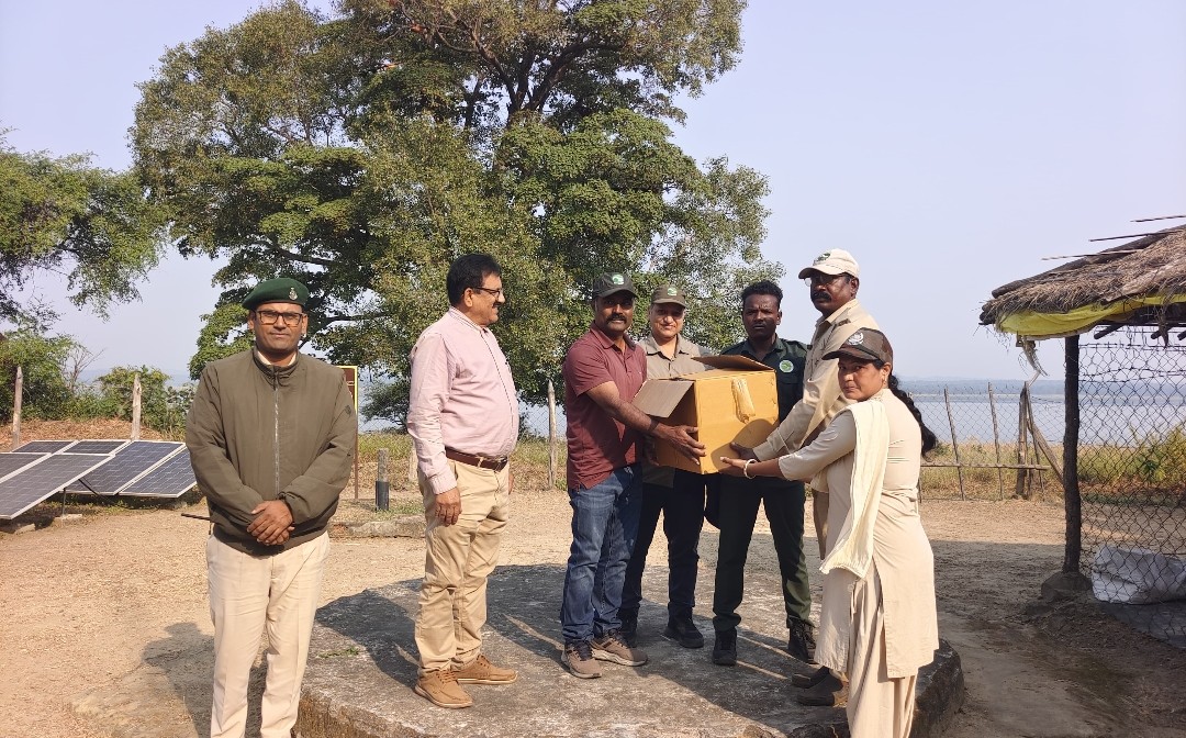 सतपुड़ा टाइगर रिजर्व में उत्कृष्ट कार्य करने पर सात वनकर्मियों को क्षेत्र संचालक पदक से किया सम्मानित