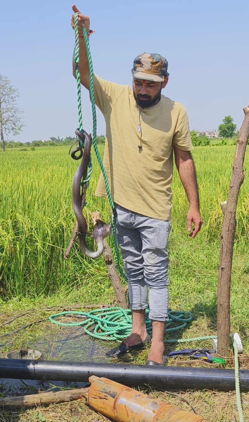 सर्प का सुरक्षित रेस्क्यू कर भयमुक्त कर रहे हैं अभिजीत यादव एवं उनके मित्र