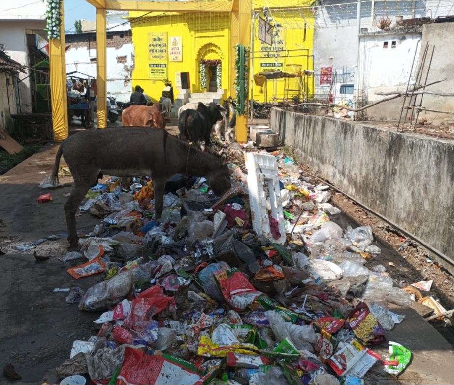 बगलामुखी मंदिर काले महादेव के बाजू वाली गली के सामने लगा कचरे का ढ़ेर, दिखा रहा स्वच्छ भारत अभियान को ठेंगा