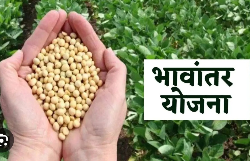 भावांतर योजना में सोयाबीन किसानों की पंजीयन अवधि 24 अक्टूबर तक बढ़ाई