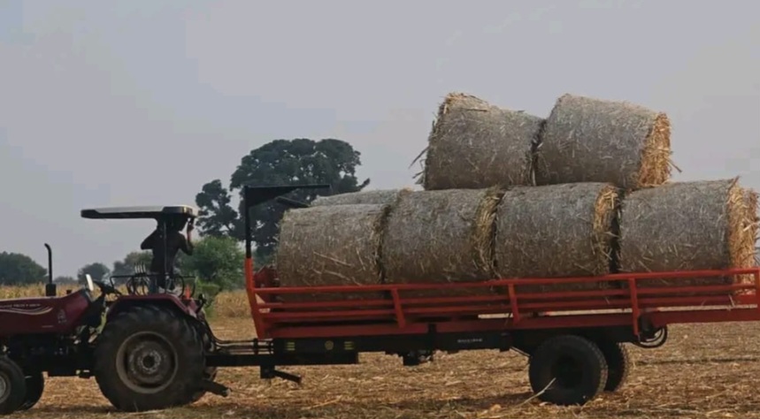 पराली की समस्या का समाधान, खेतों से उद्योगों तक पहुंचेगा फसल अवशेष; चौतलाय के आसपास बेलिंग मशीन से हो रहा काम, दतवासा के मोहित गौर, मधुर गौर की पहल बनी चर्चा का विषय, मक्का, धान, गेहूं और गन्ने के अवशेषों को गठ्ठरों में बदलकर किया जाएगा औद्योगिक उपयोग