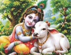 गोपाल-कृष्ण ग्राम पुरस्कार प्रतियोगिता के लिए नर्मदापुरम जिले के चार वृंदावन ग्राम चयनित, जिले की चारों विधानसभा क्षेत्र के ग्रामों में 29 से 31 अक्टूबर तक होंगी प्रतियोगिताएं